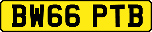 BW66PTB