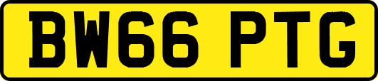 BW66PTG
