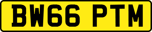 BW66PTM