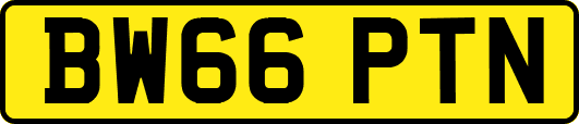 BW66PTN