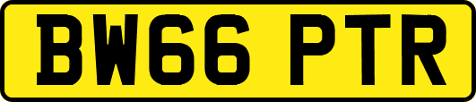 BW66PTR