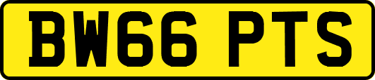 BW66PTS