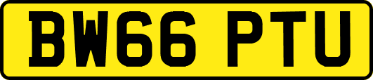 BW66PTU