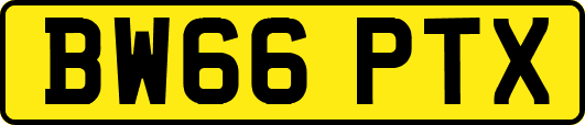 BW66PTX