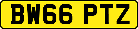 BW66PTZ