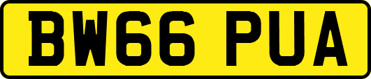 BW66PUA