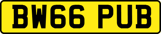 BW66PUB