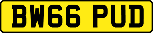 BW66PUD