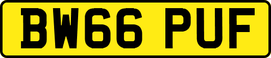 BW66PUF