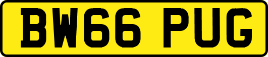 BW66PUG
