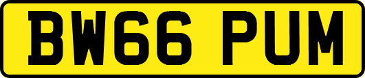 BW66PUM