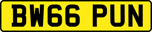 BW66PUN