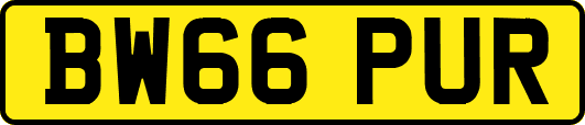 BW66PUR