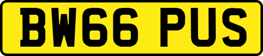 BW66PUS