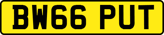 BW66PUT