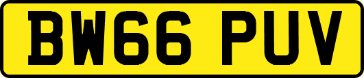 BW66PUV