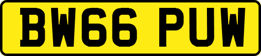 BW66PUW