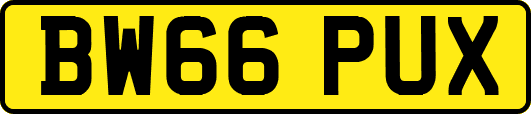 BW66PUX