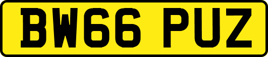 BW66PUZ