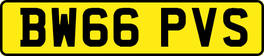 BW66PVS
