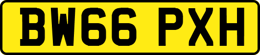 BW66PXH