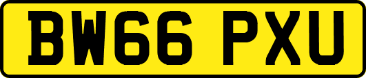 BW66PXU