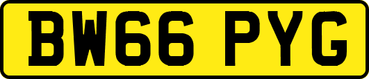 BW66PYG