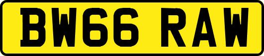 BW66RAW
