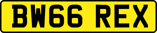 BW66REX