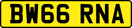 BW66RNA