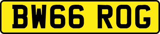 BW66ROG