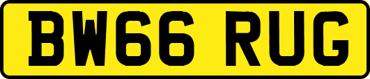 BW66RUG