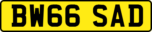 BW66SAD