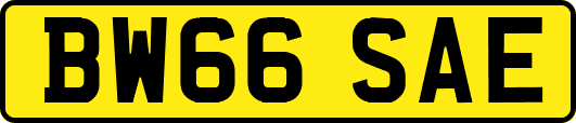 BW66SAE