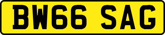 BW66SAG