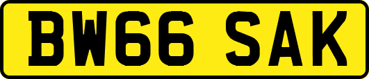 BW66SAK