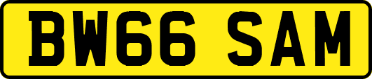 BW66SAM