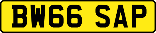 BW66SAP