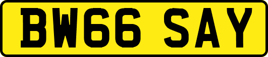 BW66SAY
