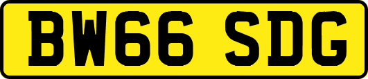 BW66SDG