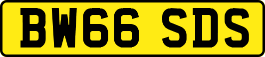 BW66SDS