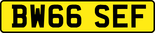 BW66SEF