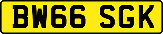 BW66SGK