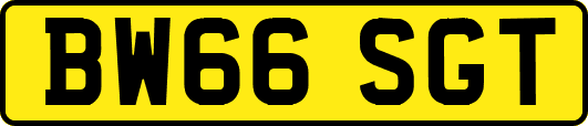 BW66SGT