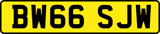 BW66SJW