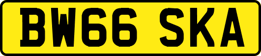 BW66SKA
