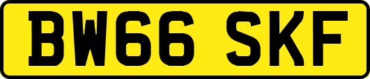 BW66SKF