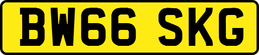 BW66SKG