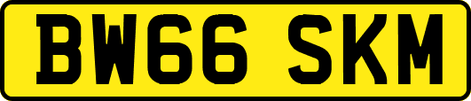 BW66SKM