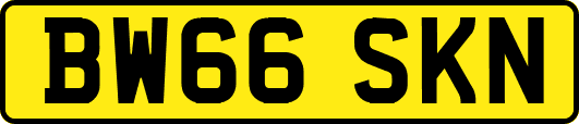 BW66SKN